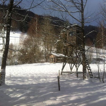 Ferienwohnung Haus Edeltraud Im Suedschwarzwald, Grosse, Helle, Ruhige Souterrain-Whg, Hunde Geeignet, Mit 2 Fahrraedern, 3 Baeckereien Mit Fruehstueck, 2 Lebensmittel-, 1 Italien-Pastalaeden, Kontakt Peter Heubueschl Aus Loerrach Райнфельден Екстер'єр фото